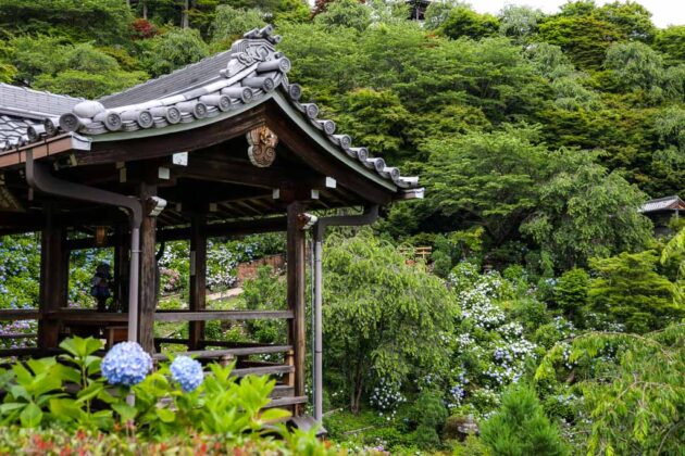 giappone-kyoto-Yoshimine-Dera-Temple
