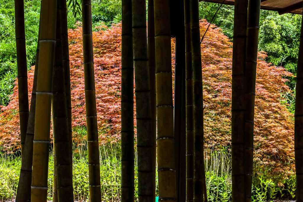 Giappone-KYOTO-Yoshimine-Dera-Temple
