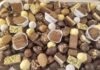 Napoli festeggia il suo anniversario con il cioccolato napoli-cioccolato-Gay-Odin