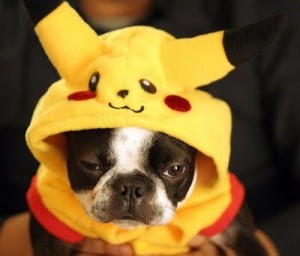 Cane pokemon alla Parata del Giorno del Ringraziamento