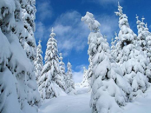 Dolomiti innevate