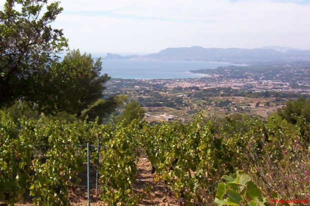 Bandol Bandol
