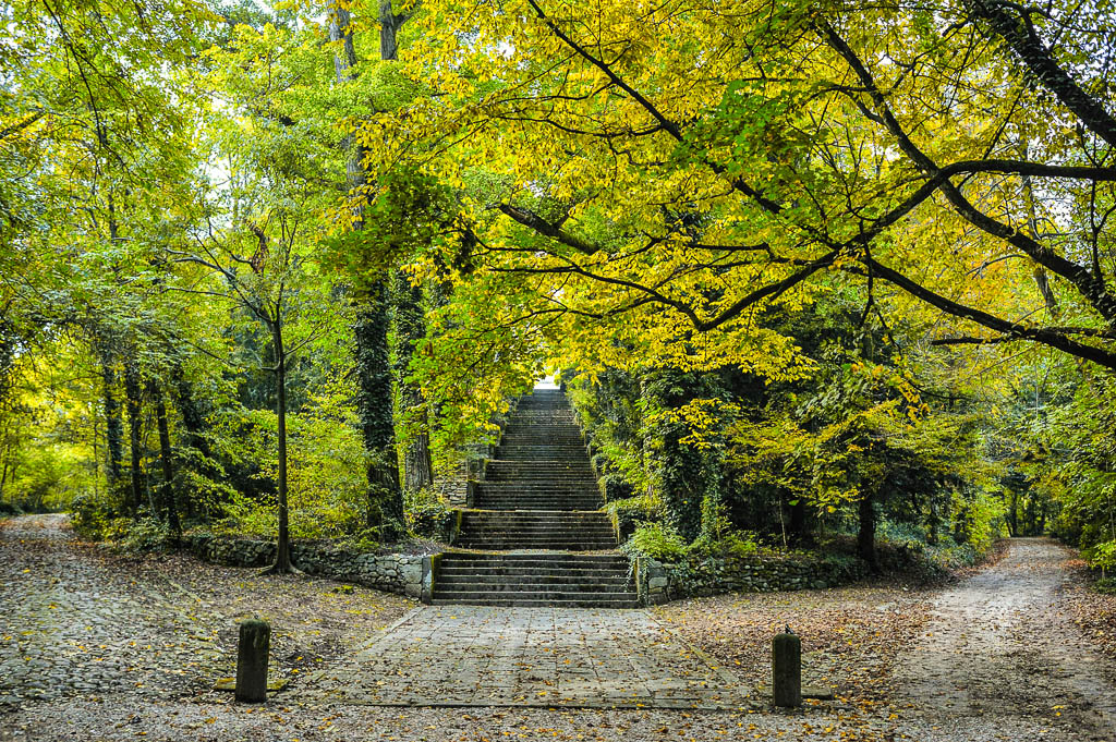 Veneto-ville-venete-Parco-Frassanelle