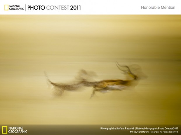 NationalGeographic_Stefano_Pesarelli