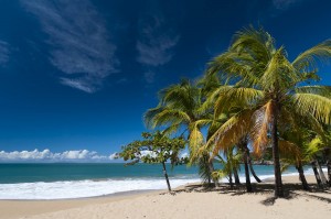 _SP07103 la-perle-deshaies-basse-terre-guadalupa-caraibi-francesi