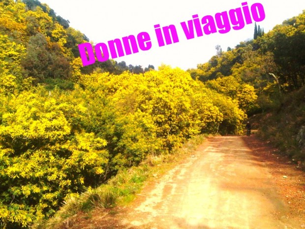strada delle mimose francia donne viaggio strada delle mimose francia donne viaggio