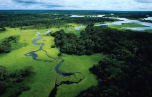 amazzonia-1