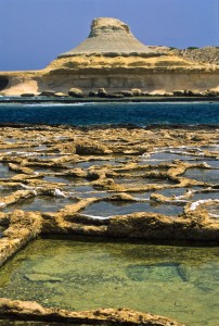 gozo-saline