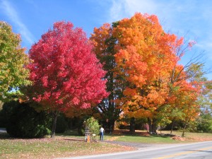 fall_foliage_new_england_usa_2