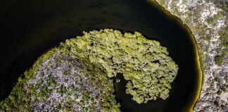 Western Australia, lo Stato infinito western-australia-fiume-margaret
