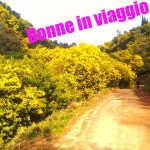 strada delle mimose francia donne viaggio