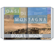 icona.mag