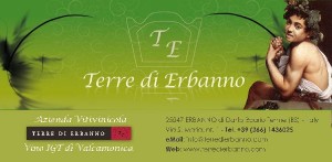 139358 1303 300x147 VALCAMONICA (BS) Terre di Erbanno: In vino veritas