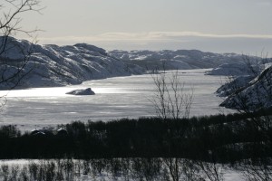 Kirkenes e dintorni Norvegia 34 300x200 NORVEGIA Scivolando sullo sleddog