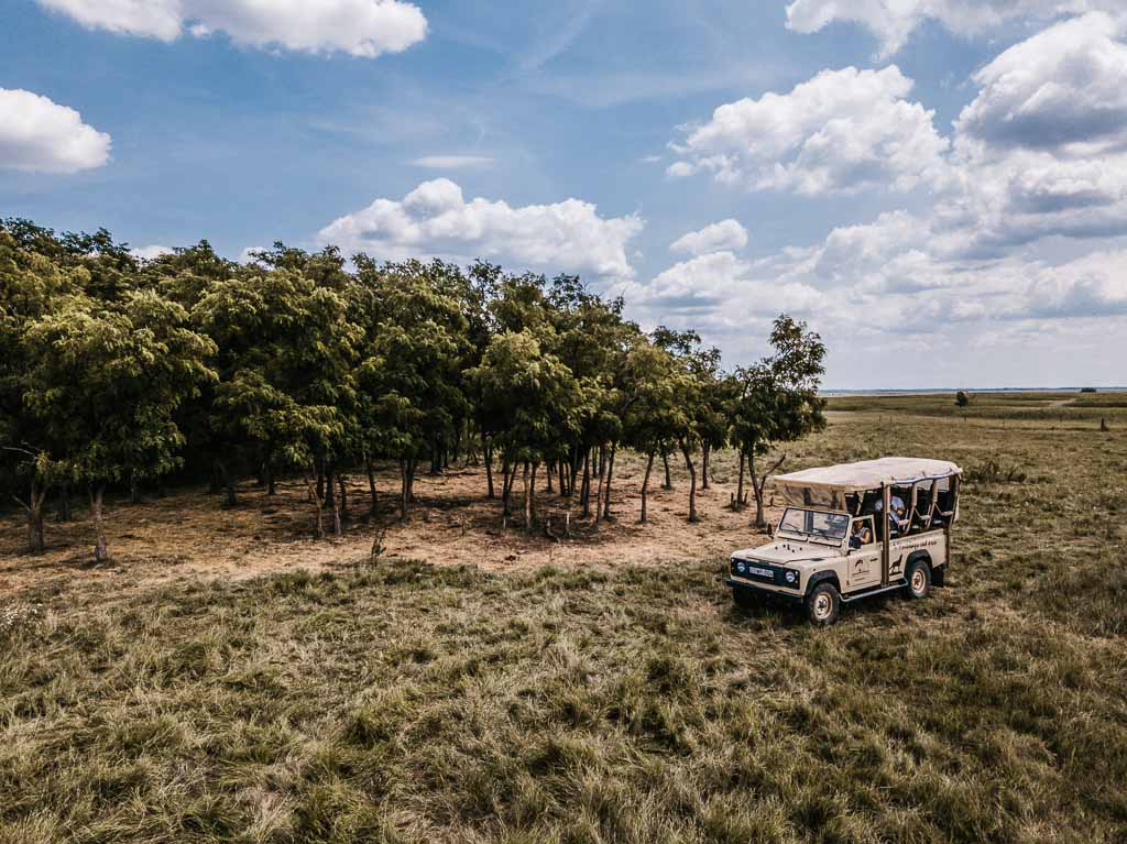 Ungheria-Hortobágy-Safari