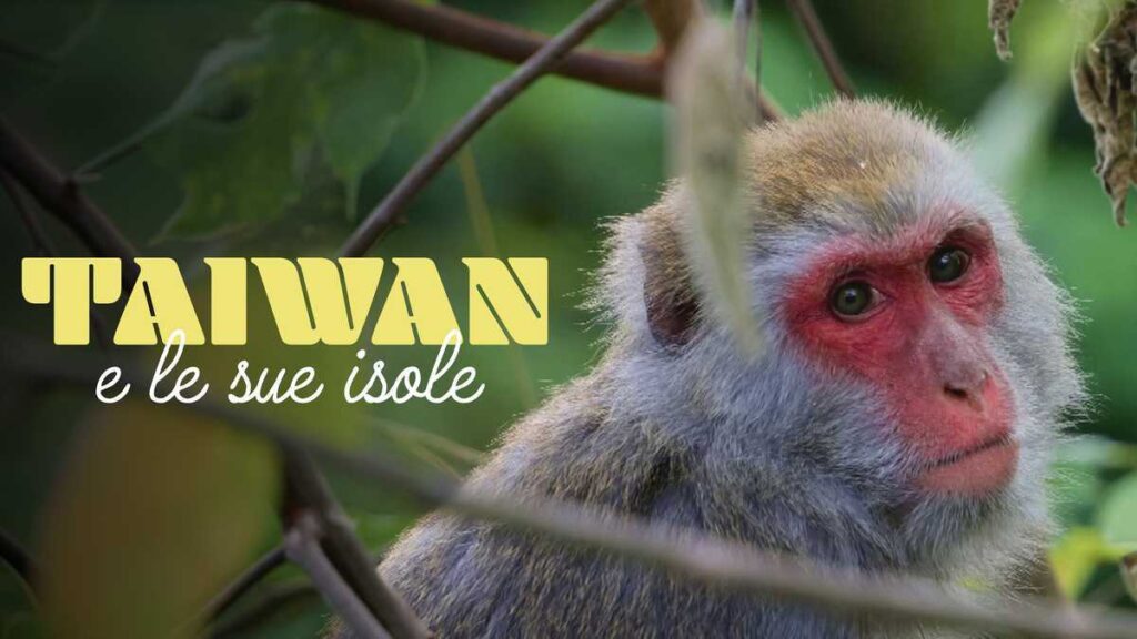 E’ una piccola isola Taiwan, Stato indipendente ma ufficialmente parte della Repubblica Cinese, nota ai più per le questioni politiche che per il suo paesaggio. Il documentario delle due registe Hai-Hsin Lu e Su-Chen Ava Kuo invece racconta natura e cultura di Taiwan e delle piccole isole che la circondano