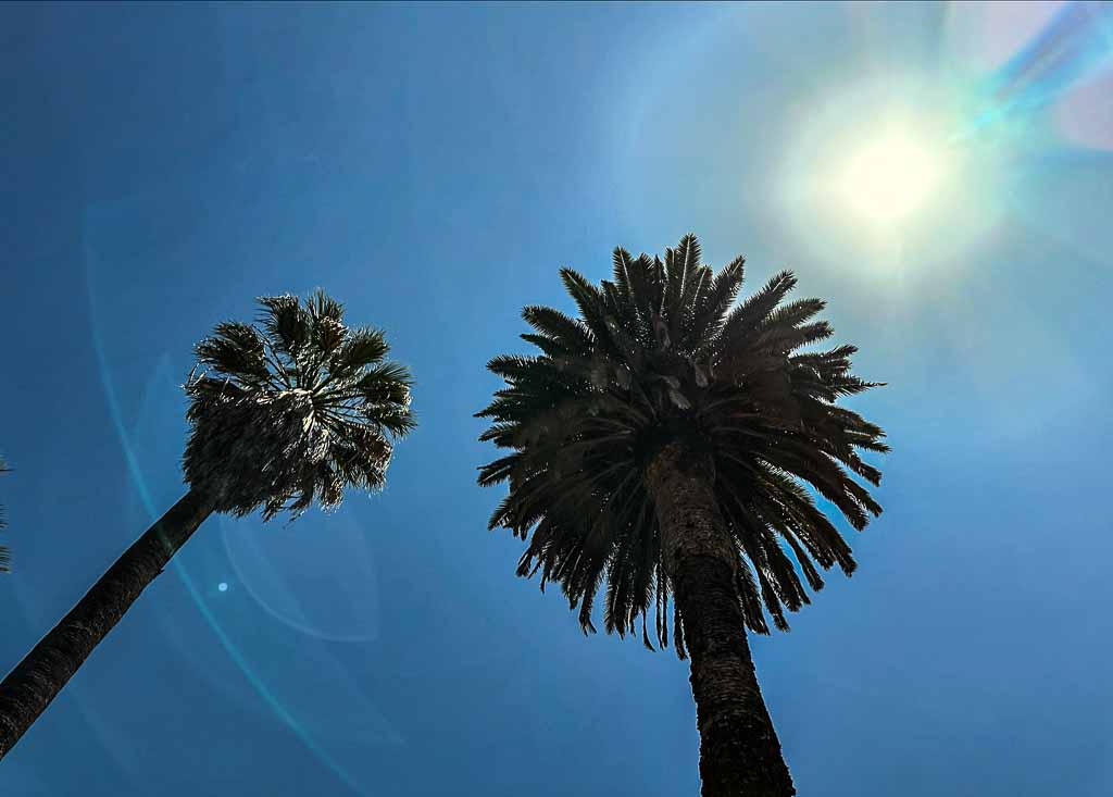 roma-orto-botanico