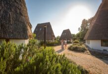 Codevigo: tra campagna, laguna e una interessante enogastronomia