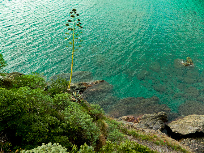 Cinque Terre mare