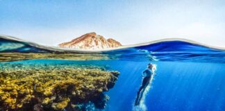 Arabia Saudita, vacanza nel Mar Rosso arabia-saudita-mar-rosso-immersione-coralli