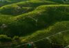 Eleganti colline e lagune d’autore