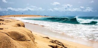 Capo Verde, tra vento e sale capo-verde-isola-sal-spiaggia-vento-oceano
