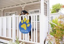 Vacanze pet friendly, al Rimini Family Village arriva la “dog suite”