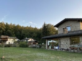 Risveglio verde: dormire e svegliarsi tra i boschi
