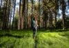 Slovenia, la pioniera del wellness outdoor slovenia-foresta-stara-fuzina