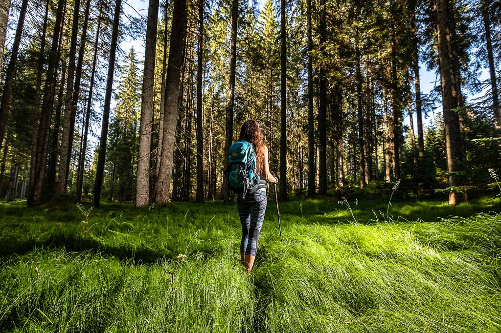 slovenia-foresta-stara-fuzina