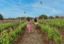 5 wine resort per soggiorni romantici e gourmet