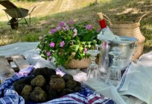 Sua maestà il tartufo sale in cattedra
