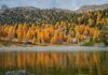 Autunno a San Vigilio di Marebbe, la stagione della rigenerazione Colori autunnali tra i boschi di San Vigilio