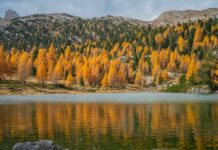 Autunno a San Vigilio di Marebbe, la stagione della rigenerazione Colori autunnali tra i boschi di San Vigilio