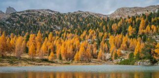 Autunno a San Vigilio di Marebbe, la stagione della rigenerazione Colori autunnali tra i boschi di San Vigilio