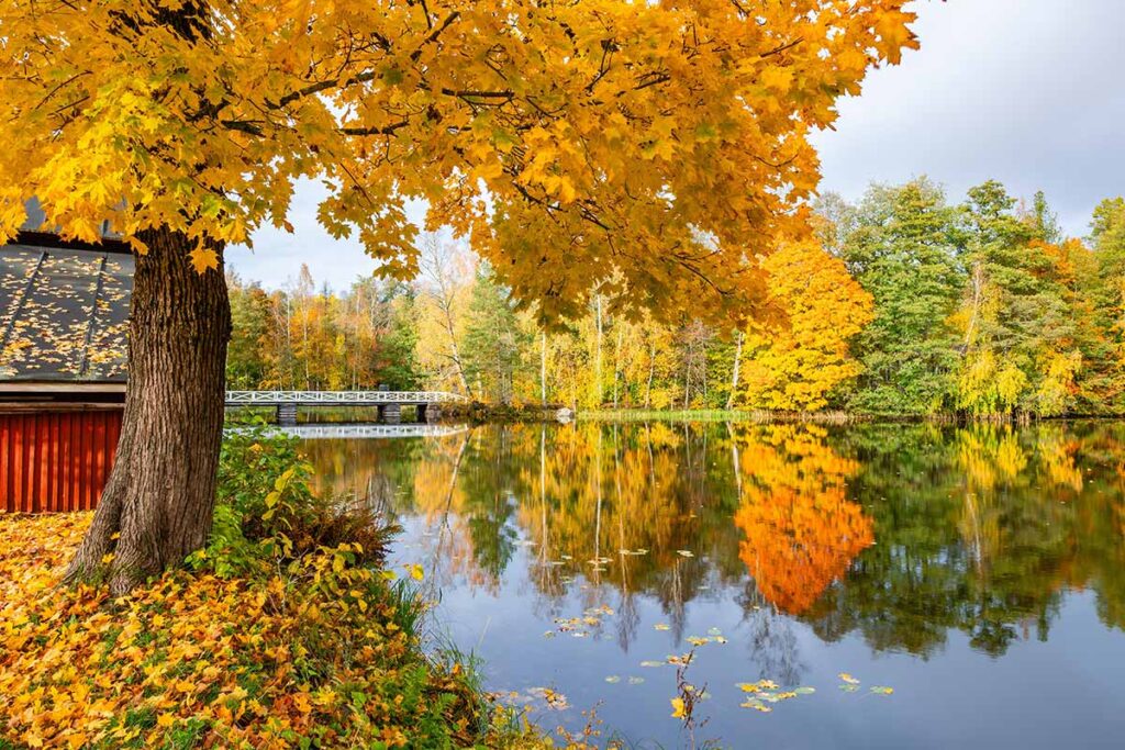 Autunno a Strömfors Bruk, Finlandia.