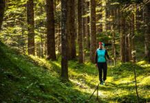 Escursioni a piedi e in bicicletta nel Consorzio Turistico Tre Cime Dolomiti Foresta_Somadida_Auronzo_Cadore