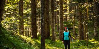 Escursioni a piedi e in bicicletta nel Consorzio Turistico Tre Cime Dolomiti Foresta_Somadida_Auronzo_Cadore