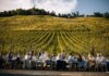Viaggio nella Stiria slovena: tra bellezze naturalistiche e squisitezze enogastronomiche
