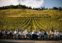 Viaggio nella Stiria slovena: tra bellezze naturalistiche e squisitezze enogastronomiche