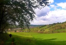 Alla scoperta di Felino e dei Colli parmensi, tra sapori e natura parma-appennino-salame-di-felino