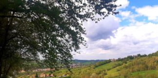 Alla scoperta di Felino e dei Colli parmensi, tra sapori e natura parma-appennino-salame-di-felino