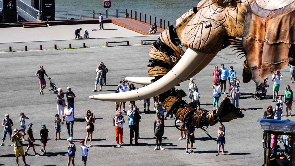 Francia-Bretagna-Nantes-Grand Elephant