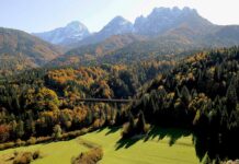 Autunno a Tarvisio: foliage, escursioni e attività per i più piccoli panorama sui boschi che si vestono dei colori dell'autunno, Tarvisio, Alpi Giulie