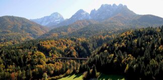 panorama sui boschi che si vestono dei colori dell'autunno, Tarvisio, Alpi Giulie