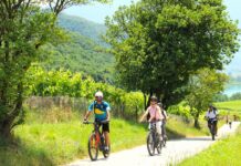 Lungo la strada del vino di Caldaro l’enoturismo è principe