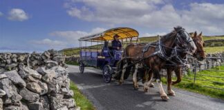 Irlanda, Far West europeo