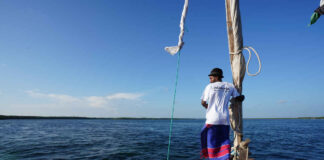 Kenya, dalla savana all’Oceano KENIA- WATAMU Navigazione lungo il Creek al tramonto con aperitivo