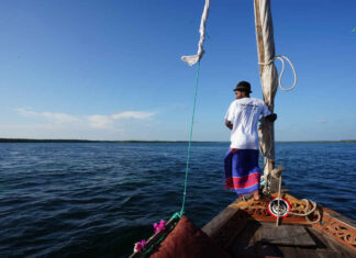 Kenya, dalla savana all’Oceano KENIA- WATAMU Navigazione lungo il Creek al tramonto con aperitivo
