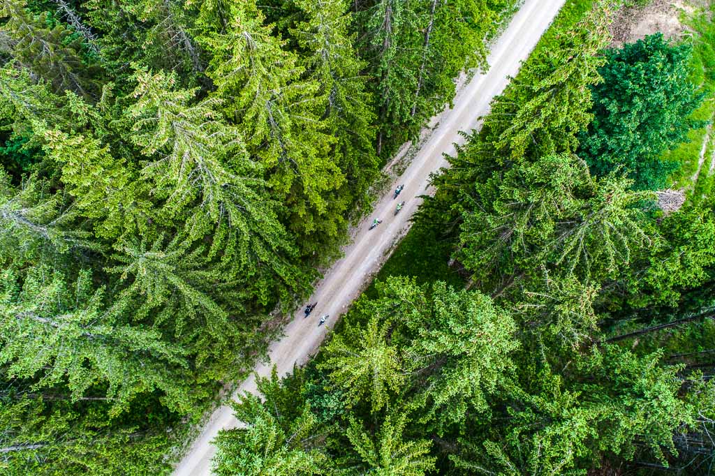 slovenia-foresta-KOCEVSKO